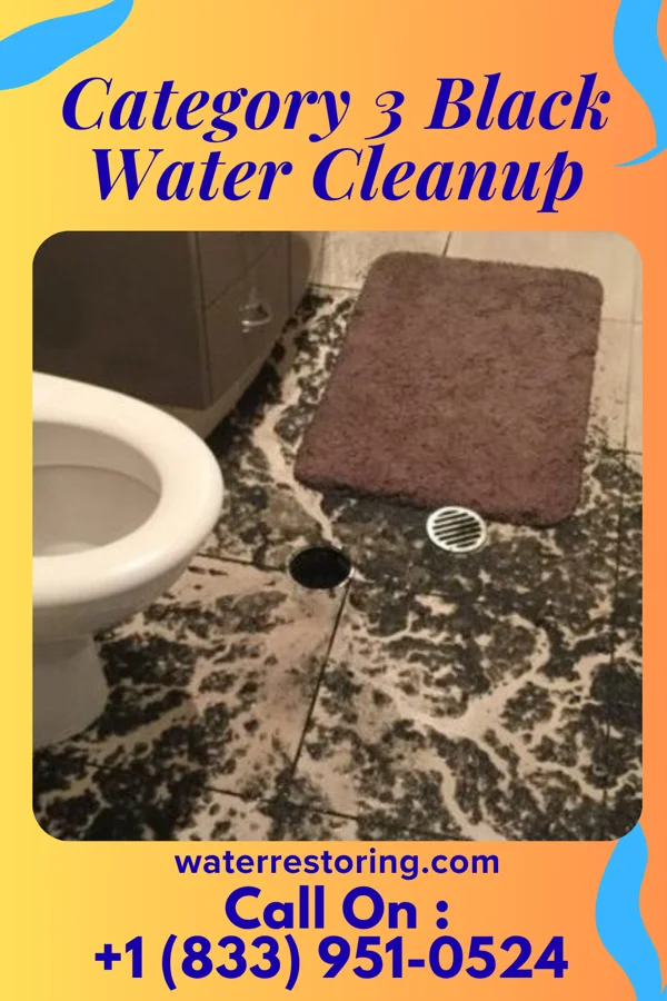 Category 3 Black Water Cleanup in Coalgate, OK
